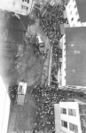 photo16