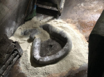 photo3346